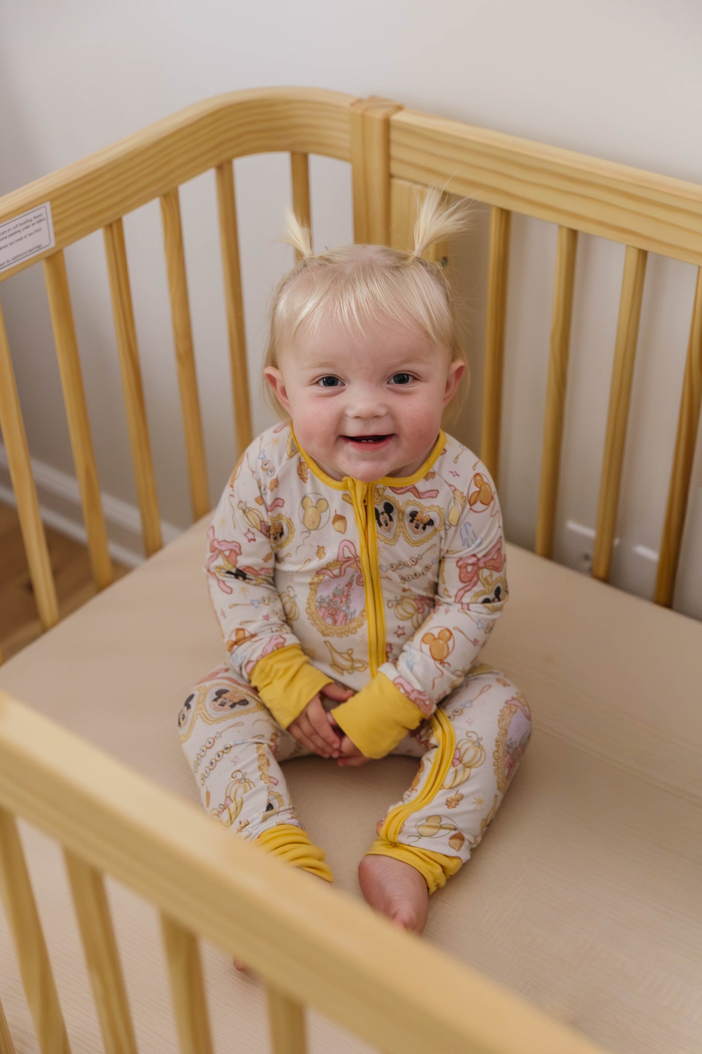 Fall Theme Park - Bamboo Zippy